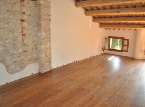 Rovere vissuto taglio sega